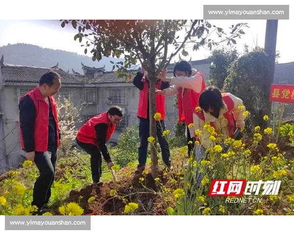 绿意盎然共筑未来 植树比赛展现环保行动与团队合作精神